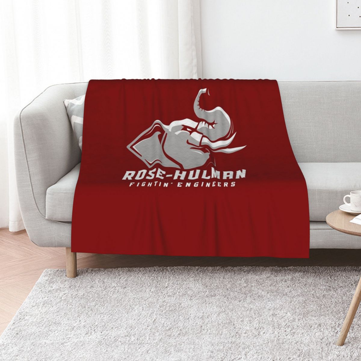 3D Printing Engineer - The Rose Hulman Fightin' Engineers Throw